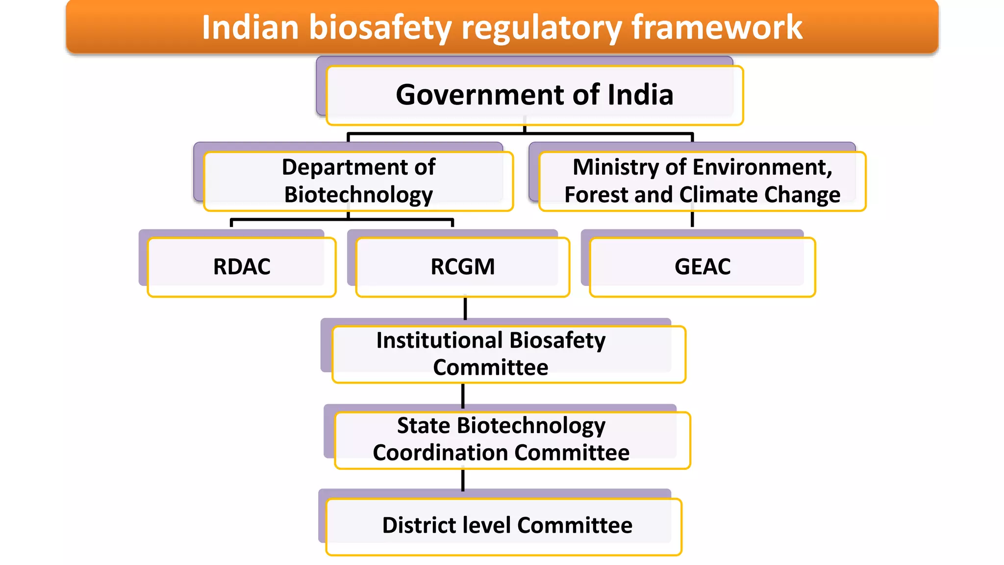 Government of India
Department of
Biotechnology
RDAC RCGM
Ministry of Environment,
Forest and Climate Change
GEAC
Institutional Biosafety
Committee
State Biotechnology
Coordination Committee
District level Committee
Indian biosafety regulatory framework
 