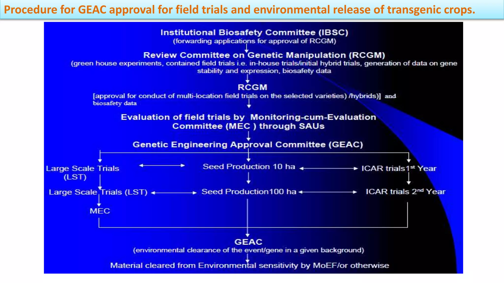 Procedure for GEAC approval for field trials and environmental release of transgenic crops.
 