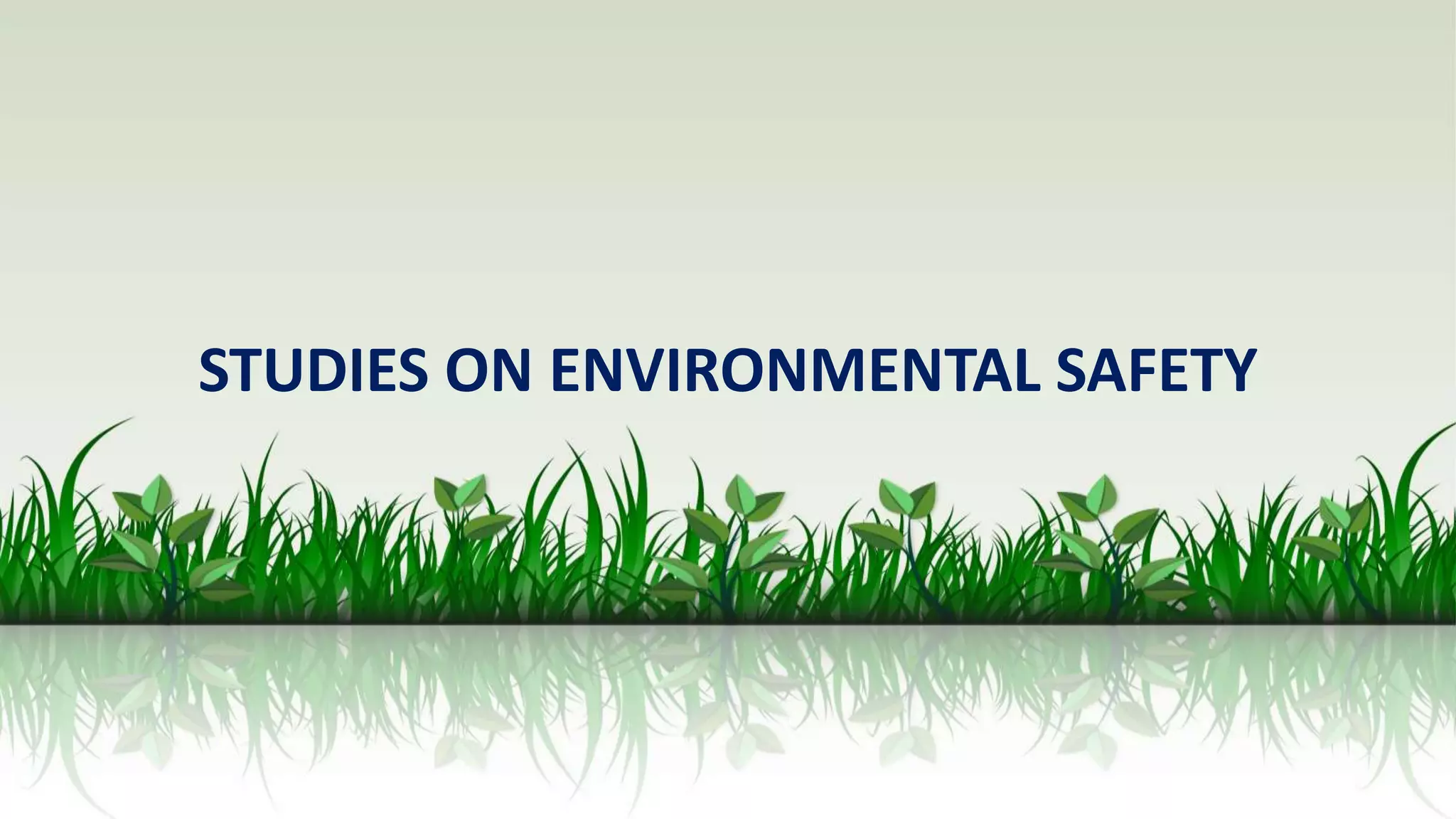 STUDIES ON ENVIRONMENTAL SAFETY
 