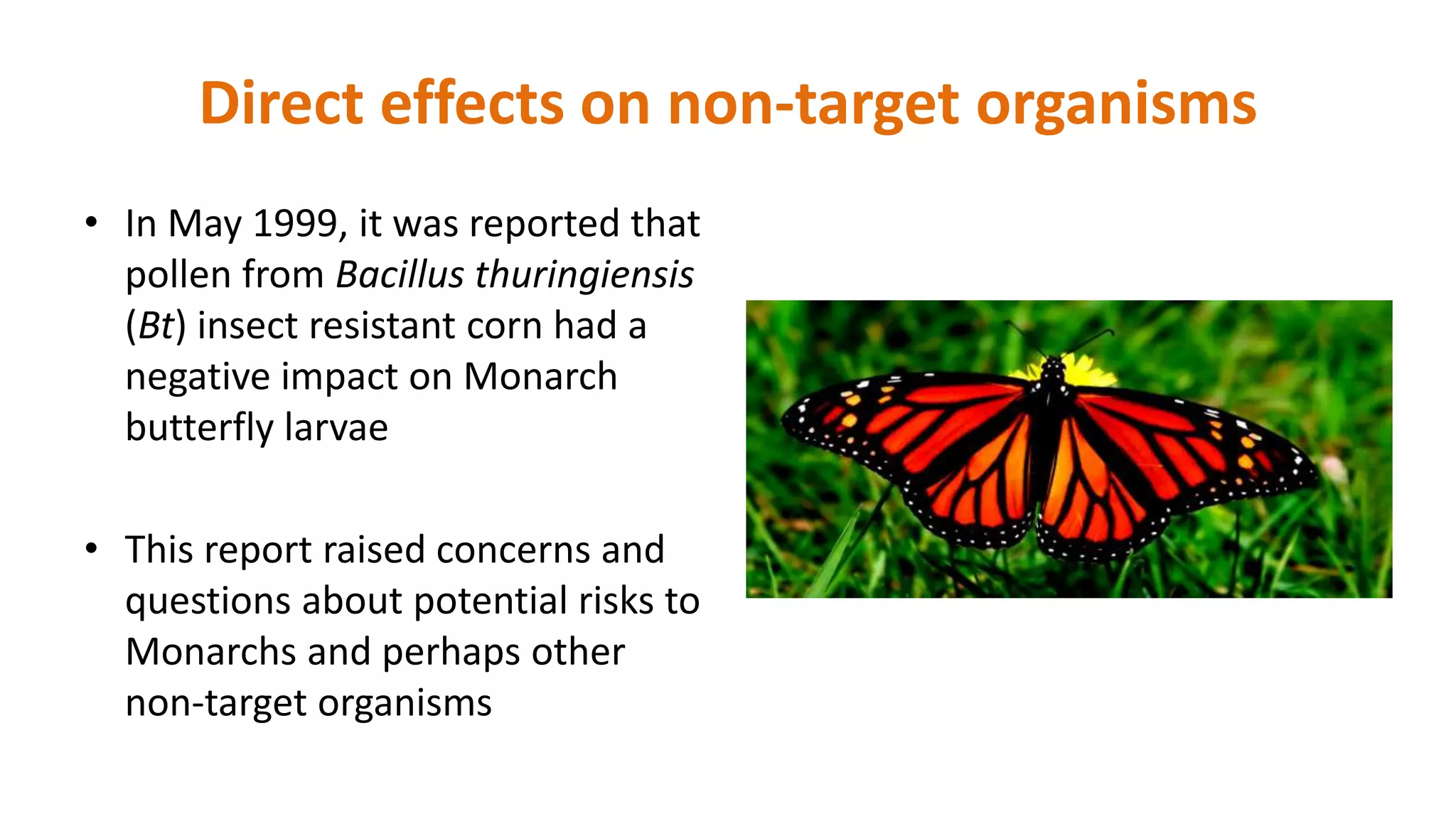 Direct effects on non-target organisms
• In May 1999, it was reported that
pollen from Bacillus thuringiensis
(Bt) insect resistant corn had a
negative impact on Monarch
butterfly larvae
• This report raised concerns and
questions about potential risks to
Monarchs and perhaps other
non-target organisms
 