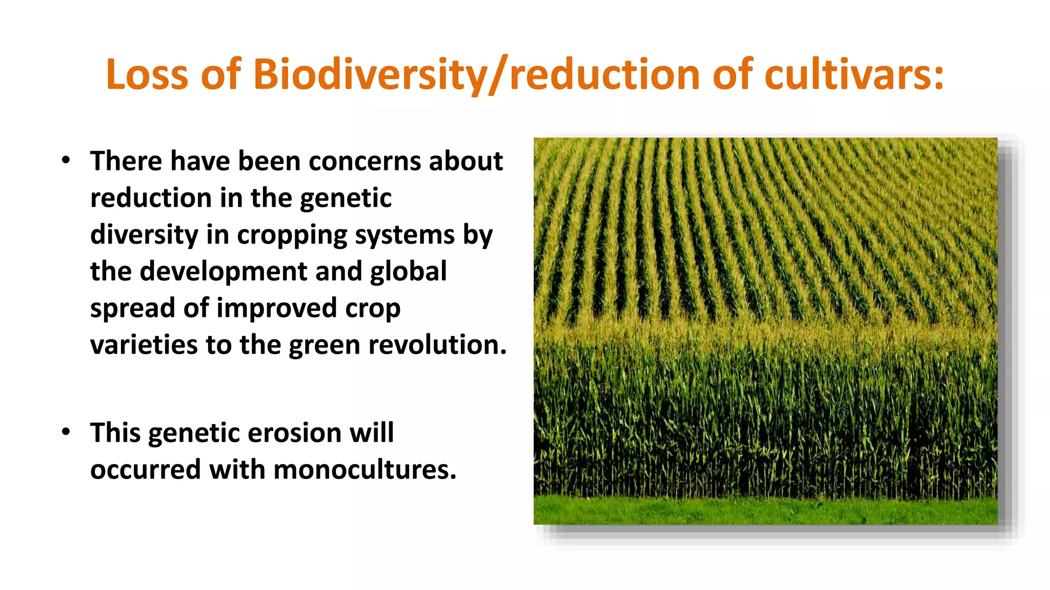 Loss of Biodiversity/reduction of cultivars:
• There have been concerns about
reduction in the genetic
diversity in cropping systems by
the development and global
spread of improved crop
varieties to the green revolution.
• This genetic erosion will
occurred with monocultures.
 