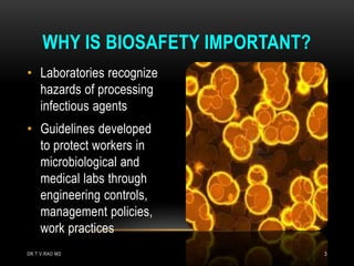 Biosafty guidelines | PPTX
