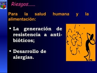 Riesgos...... Para la salud humana y la alimentación: La generación de resistencia a anti-bióticos; Desarrollo de  alergias. UNALM 