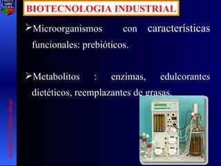 BIOTECNOLOGIA INDUSTRIAL Microorganismos  con  características  funcionales: prebióticos. Metabolitos : enzimas, edulcorantes dietéticos, reemplazantes de grasas. [email_address] 