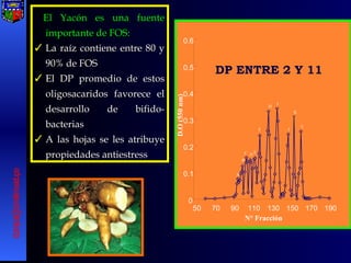 El Yacón es una fuente importante de FOS: La raíz contiene entre 80 y 90% de FOS El DP promedio de estos oligosacaridos favorece el desarrollo de bifido-bacterias  A las hojas se les atribuye propiedades antiestress [email_address] 0 0.1 0.2 0.3 0.4 0.5 0.6 50 70 90 110 130 150 170 190 N° Fracción D.O (550 nm) A B C D E F H I  J K L DP ENTRE 2 Y 11 