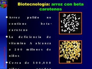 Biotecnología:  arroz con beta carotenos Arroz pulido no contiene beta-caroteno La deficiencia de vitamina A alcanza a 200 millones de niños Cerca de 500,000 niños quedan ciegos (60/h) [email_address] 