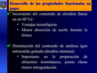 Desarrollo de las propiedades funcionales en papa:  Incremento del contenido de almidón (hasta en un 60 %): Ventajas tecnológicas Menor absorción de aceite durante la fritura Disminución del contenido de amilosa (gen antisentido gránulo-almidón sintetasa) Importante en la preparación de alimentos instantáneos, pastas claras menor retrogradación UNALM 