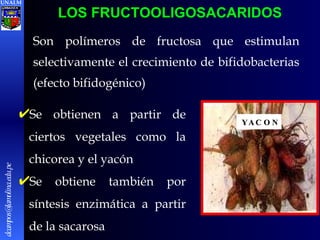 LOS FRUCTOOLIGOSACARIDOS Se obtienen a partir de ciertos vegetales como la chicorea y el yacón Se obtiene también por síntesis enzimática a partir de la sacarosa  Son polímeros de fructosa que estimulan selectivamente el crecimiento de bifidobacterias (efecto bifidogénico) UNALM [email_address] YACON YACON 