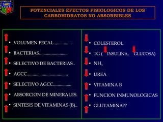 POTENCIALES EFECTOS FISIOLOGICOS DE LOS CARBOHIDRATOS NO ABSORBIBLES VOLUMEN FECAL................ BACTERIAS......................... SELECTIVO DE BACTERIAS.. AGCC.................................... SELECTIVO AGCC................ ABSORCION DE MINERALES. SINTESIS DE VITAMINAS (B).. COLESTEROL TG (  INSULINA,  GLUCOSA ) NH 3 UREA VITAMINA B FUNCION INMUNOLOGICAS GLUTAMINA?? 