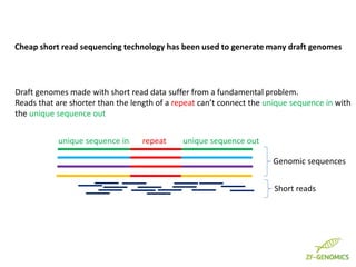 Cheap short read sequencing technology has been used to generate many draft genomes
repeatunique sequence in unique sequen...