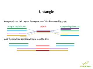 repeatunique sequence in unique sequence out
Long reads can help to resolve repeat area’s in the assembly graph
And the re...