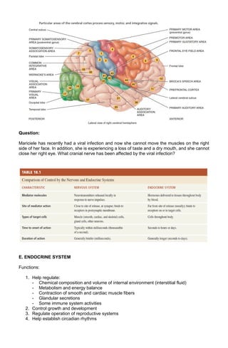 Question:
Mariciele has recently had a viral infection and now she cannot move the muscles on the right
side of her face. In addition, she is experiencing a loss of taste and a dry mouth, and she cannot
close her right eye. What cranial nerve has been affected by the viral infection?

E. ENDOCRINE SYSTEM
Functions:
1. Help regulate:
- Chemical composition and volume of internal environment (interstitial fluid)
- Metabolism and energy balance
- Contraction of smooth and cardiac muscle fibers
- Glandular secretions
- Some immune system activities
2. Control growth and development
3. Regulate operation of reproductive systems
4. Help establish circadian rhythms

 