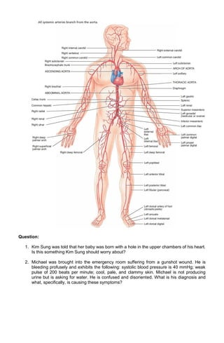 Question:
1. Kim Sung was told that her baby was born with a hole in the upper chambers of his heart.
Is this something Kim Sung should worry about?
2. Michael was brought into the emergency room suffering from a gunshot wound. He is
bleeding profusely and exhibits the following: systolic blood pressure is 40 mmHg; weak
pulse of 200 beats per minute; cool, pale, and clammy skin. Michael is not producing
urine but is asking for water. He is confused and disoriented. What is his diagnosis and
what, specifically, is causing these symptoms?

 