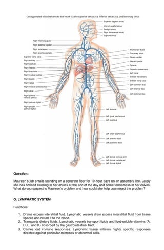 Question:
Maureen’s job entails standing on a concrete floor for 10-hour days on an assembly line. Lately
she has noticed swelling in her ankles at the end of the day and some tenderness in her calves.
What do you suspect is Maureen’s problem and how could she help counteract the problem?

G. LYMPHATIC SYSTEM
Functions:
1. Drains excess interstitial fluid. Lymphatic vessels drain excess interstitial fluid from tissue
spaces and return it to the blood.
2. Transports dietary lipids. Lymphatic vessels transport lipids and lipid-soluble vitamins (A,
D, E, and K) absorbed by the gastrointestinal tract.
3. Carries out immune responses. Lymphatic tissue initiates highly specific responses
directed against particular microbes or abnormal cells.

 