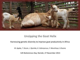 Unzipping the Goat Helix
Harnessing genetic diversity to improve goat productivity in Africa
M. Agaba, T. Dessie, J. Djomika, G. Gebreyessus, F. Meutcheye, S.Osama

ILRI BioSciences Day, Nairobi, 27 November 2013

 