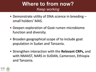 Unzipping the Goat Helix: Harnessing genetic diversity to improve goat productivity in Africa