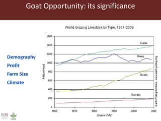 Unzipping the Goat Helix: Harnessing genetic diversity to improve goat productivity in Africa