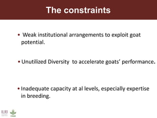 Unzipping the Goat Helix: Harnessing genetic diversity to improve goat productivity in Africa
