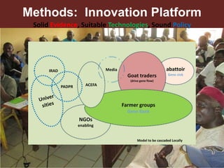 Unzipping the Goat Helix: Harnessing genetic diversity to improve goat productivity in Africa