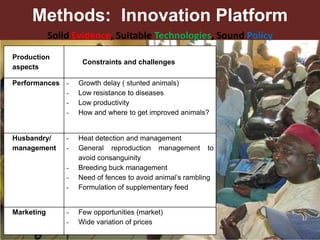 Unzipping the Goat Helix: Harnessing genetic diversity to improve goat productivity in Africa