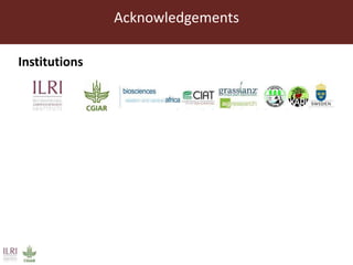 Endophytic microbes to enhance Brachiaria productivity in semi-arid environments of sub Saharan Africa 