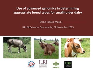Use of advanced genomics in determining
appropriate breed types for smallholder dairy
Denis Fidalis Mujibi D.Mujibi@cgiar.org
ILRI BioSciences Day, Nairobi, 27 November 2013

 