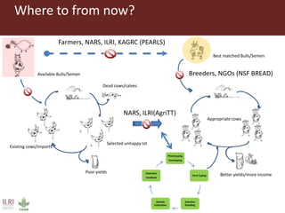 Use of advanced genomics in determining appropriate breed types for smallholder dairy