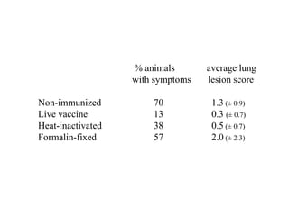 Development of a subunit vaccine for contagious bovine pleuropneumonia in Africa