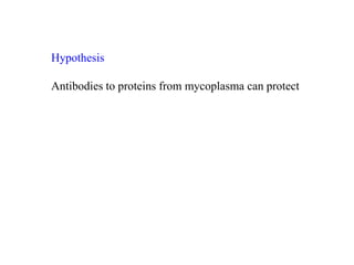 Development of a subunit vaccine for contagious bovine pleuropneumonia in Africa