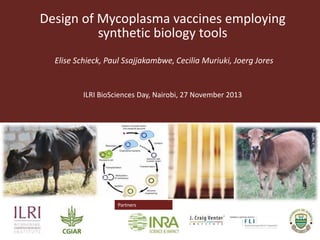 Design of Mycoplasma vaccines employing
synthetic biology tools
Elise Schieck, Paul Ssajjakambwe, Cecilia Muriuki, Joerg Jores

ILRI BioSciences Day, Nairobi, 27 November 2013

Partnersgo

 
