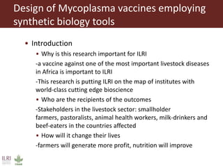 Design of Mycoplasma vaccines employing synthetic biology tools 