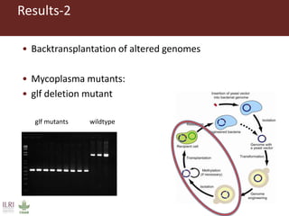 Design of Mycoplasma vaccines employing synthetic biology tools 