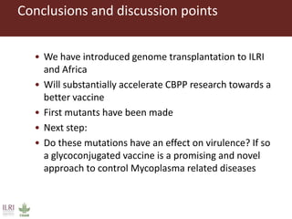 Design of Mycoplasma vaccines employing synthetic biology tools 