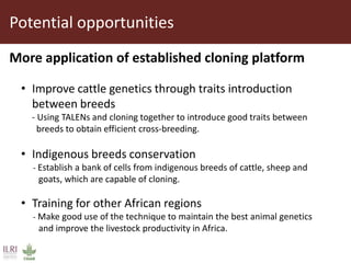 Transgenic approach to improved productivity: Establishing African Trypanosomiasis resistance in cattle by a transgenic approach