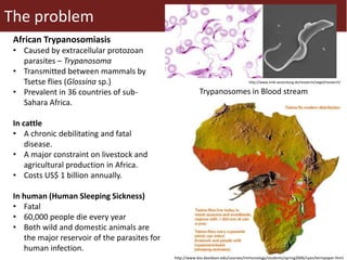 Transgenic approach to improved productivity: Establishing African Trypanosomiasis resistance in cattle by a transgenic approach