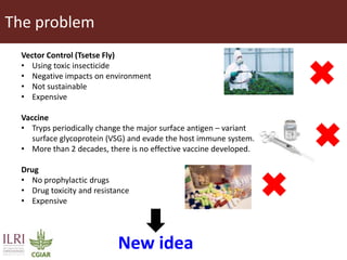 Transgenic approach to improved productivity: Establishing African Trypanosomiasis resistance in cattle by a transgenic approach