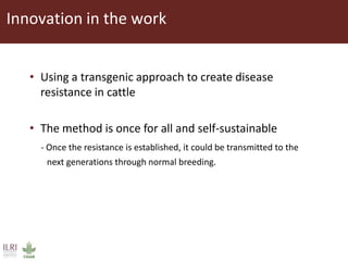 Transgenic approach to improved productivity: Establishing African Trypanosomiasis resistance in cattle by a transgenic approach