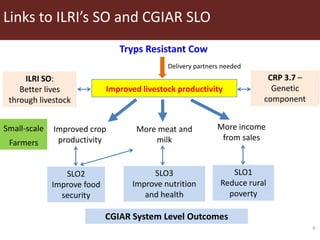 Transgenic approach to improved productivity: Establishing African Trypanosomiasis resistance in cattle by a transgenic approach
