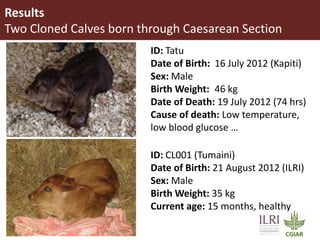 Transgenic approach to improved productivity: Establishing African Trypanosomiasis resistance in cattle by a transgenic approach