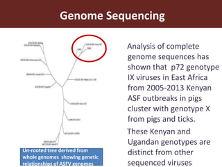 African Swine Fever (ASF) control: An entry point for enhancing human welfare through pig system improvement