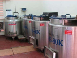 Breeding and genomics in ILRI biosciences research