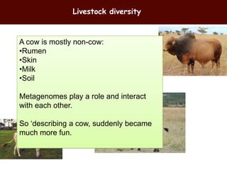 Breeding and genomics in ILRI biosciences research