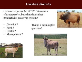 Breeding and genomics in ILRI biosciences research