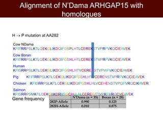 Breeding and genomics in ILRI biosciences research