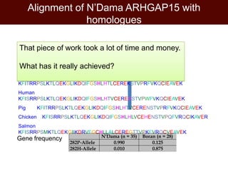 Breeding and genomics in ILRI biosciences research