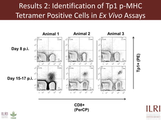 The quest for the needle (antigen) in the haystack (pathogen): Immunoinformatics to the rescue