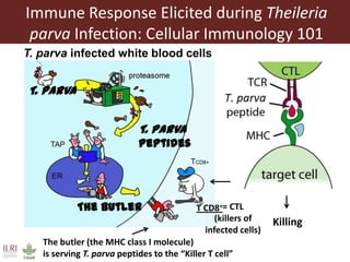 The quest for the needle (antigen) in the haystack (pathogen): Immunoinformatics to the rescue