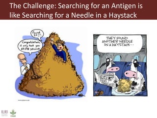 The quest for the needle (antigen) in the haystack (pathogen): Immunoinformatics to the rescue