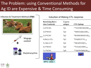 The quest for the needle (antigen) in the haystack (pathogen): Immunoinformatics to the rescue