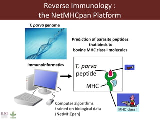 The quest for the needle (antigen) in the haystack (pathogen): Immunoinformatics to the rescue